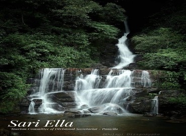 Bambarella Saree Ella